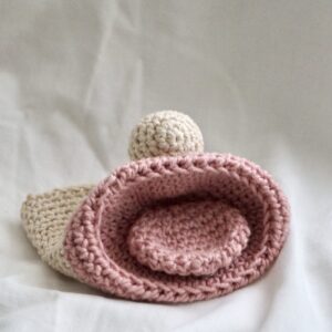 Nueva versión - Cavidad oral del lactante